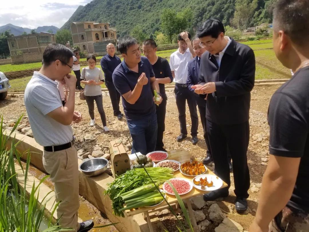 尊龙凯时人生就是搏 -官网首页