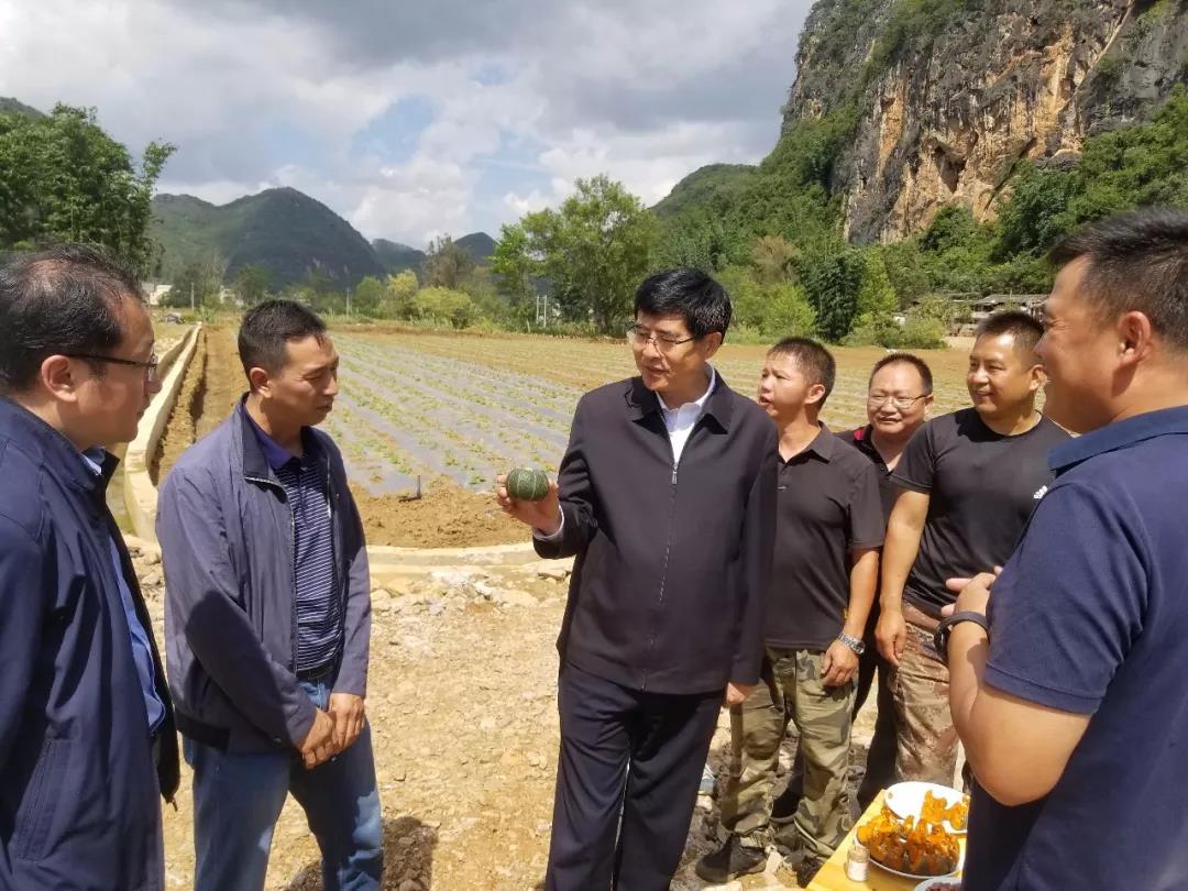 尊龙凯时人生就是搏 -官网首页