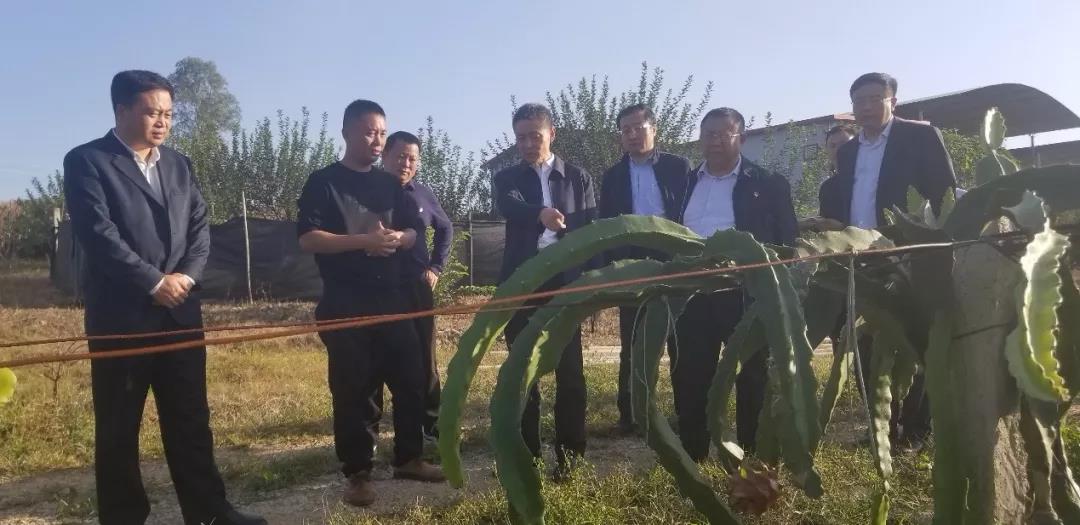 尊龙凯时人生就是搏 -官网首页