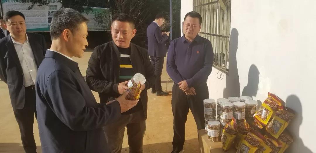 尊龙凯时人生就是搏 -官网首页
